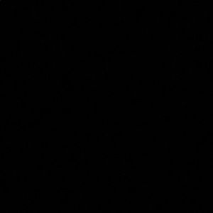 Meet your Posher, Brittaney